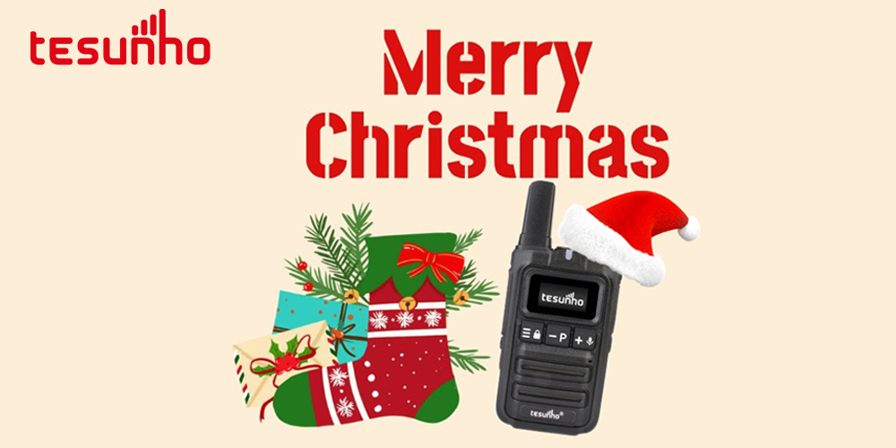 Merry Christmas and Happy New Year