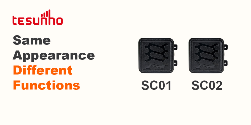 The Difference Between SC01 and SC02