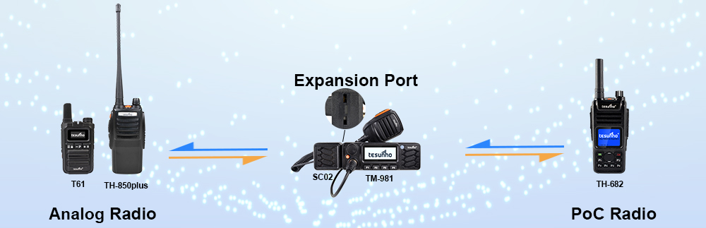 1000x2000每周广告图20260104配图_03